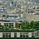 urban gardening